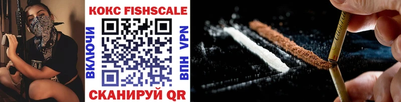 купить  цена  Стерлитамак  mega как зайти  COCAIN FishScale 