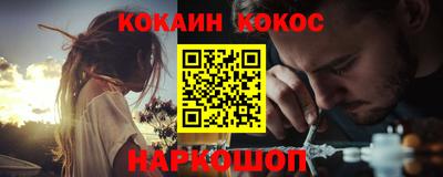 стаф Гатчина