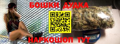 стаф Гатчина