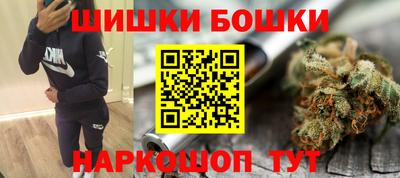 стаф Гатчина