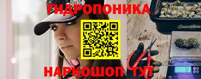 стаф Гатчина