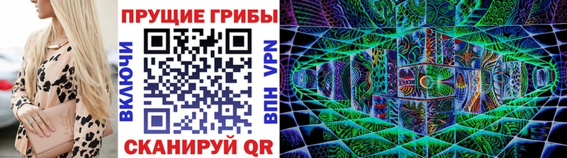 Псилоцибиновые грибы мицелий  Стерлитамак 
