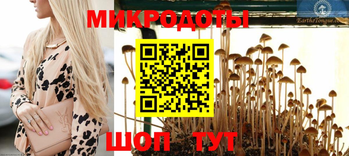 Стерлитамак  Псилоцибиновые грибы мицелий  где купить наркоту  Галлюциногенные грибы Magic Shrooms  Вход с VPN 